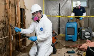 Mold remediation service in Norfolk, VA for water damage cleanup and home restoration